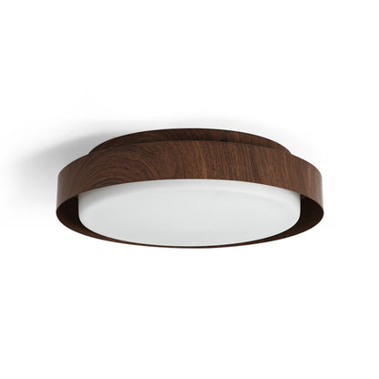 Ebern Ceiling Light