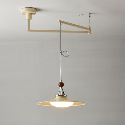 Eden Swing Arm Pendant Light