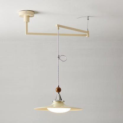 Eden Swing Arm Pendant Light