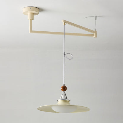 Eden Swing Arm Pendant Light