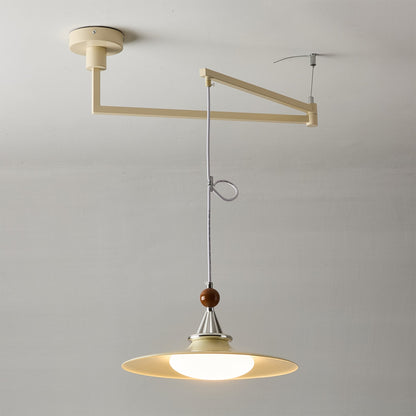 Eden Swing Arm Pendant Light