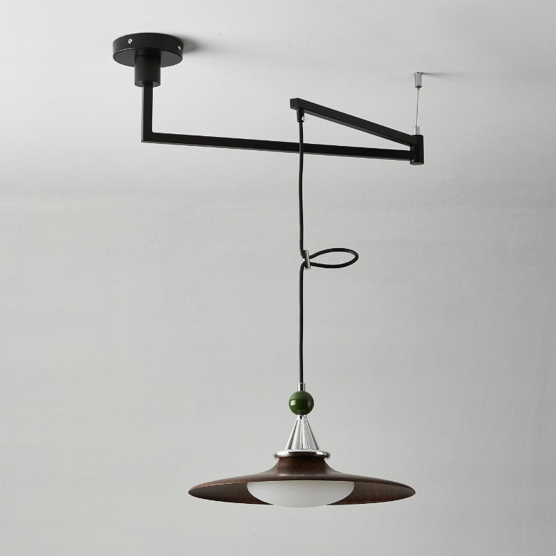 Eden Swing Arm Pendant Light
