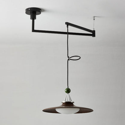 Eden Swing Arm Pendant Light