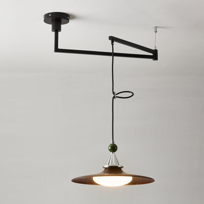 Eden Swing Arm Pendant Light