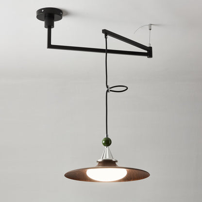 Eden Swing Arm Pendant Light