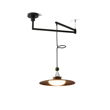 Eden Swing Arm Pendant Light