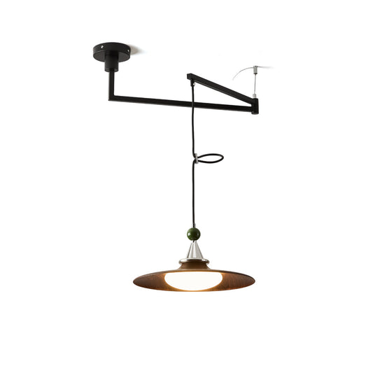 Eden Swing Arm Pendant Light