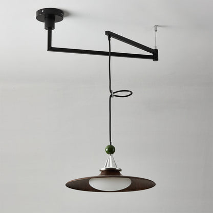 Eden Swing Arm Pendant Light