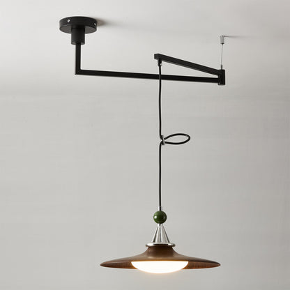 Eden Swing Arm Pendant Light