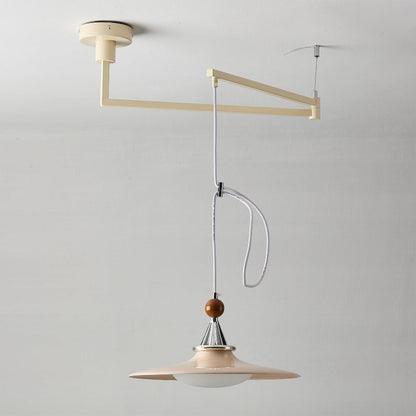 Eden Swing Arm Pendant Light
