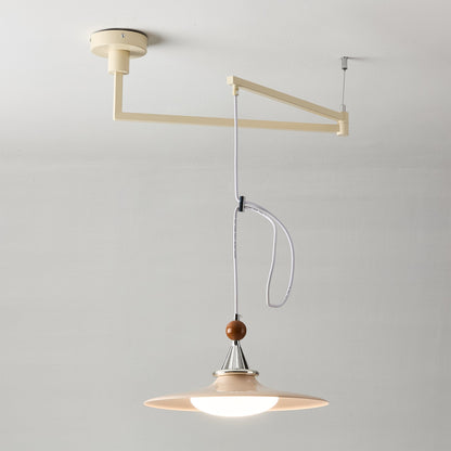 Eden Swing Arm Pendant Light