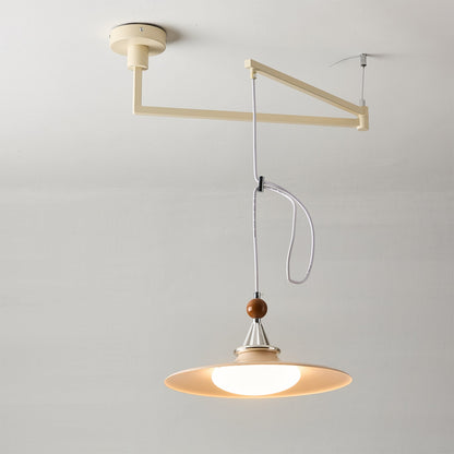 Eden Swing Arm Pendant Light