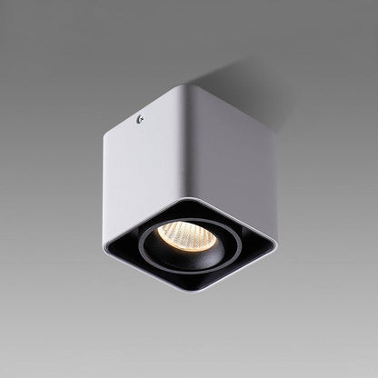 Giyan Surface Spotlight