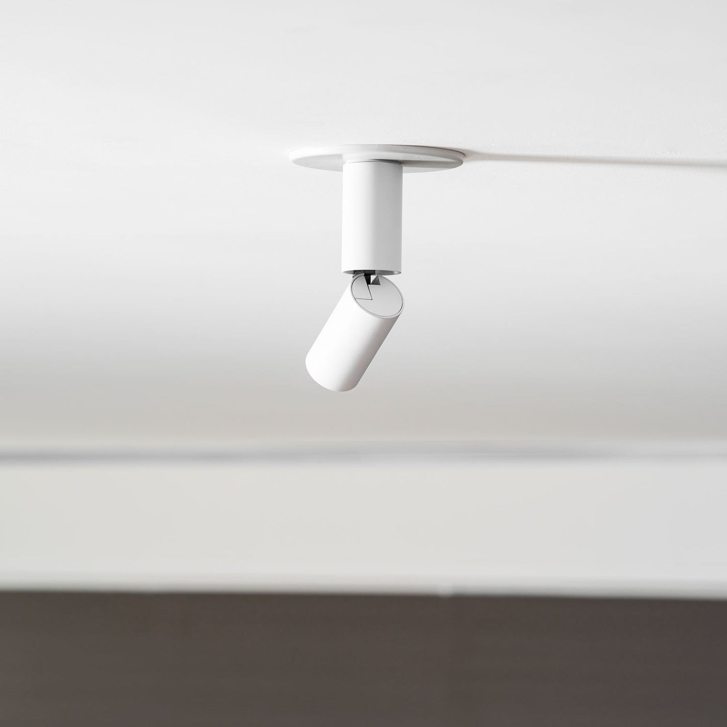 Julian Adjustable Surface Downlight