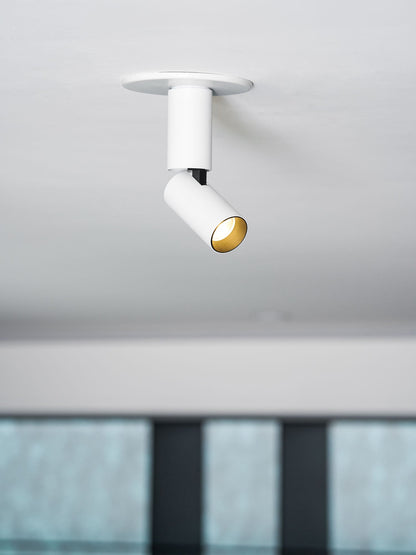 Julian Adjustable Surface Downlight