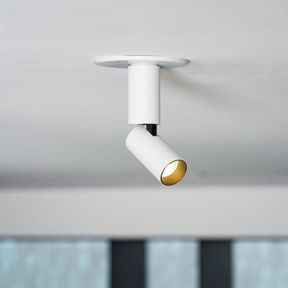 Julian Adjustable Surface Downlight
