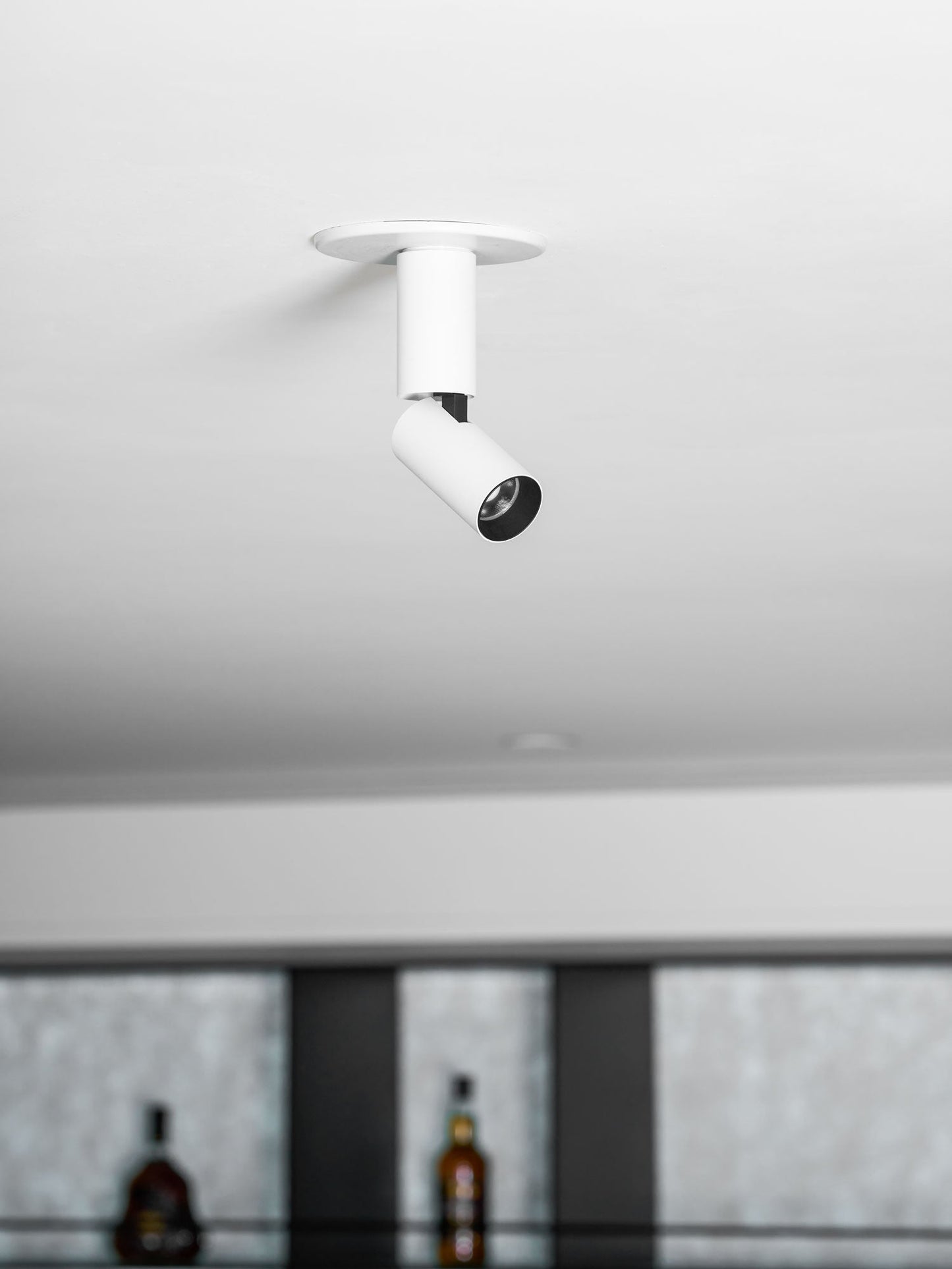 Julian Adjustable Surface Downlight