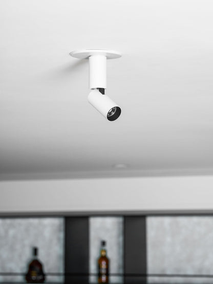 Julian Adjustable Surface Downlight
