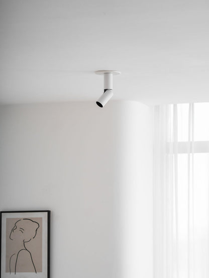 Julian Adjustable Surface Downlight