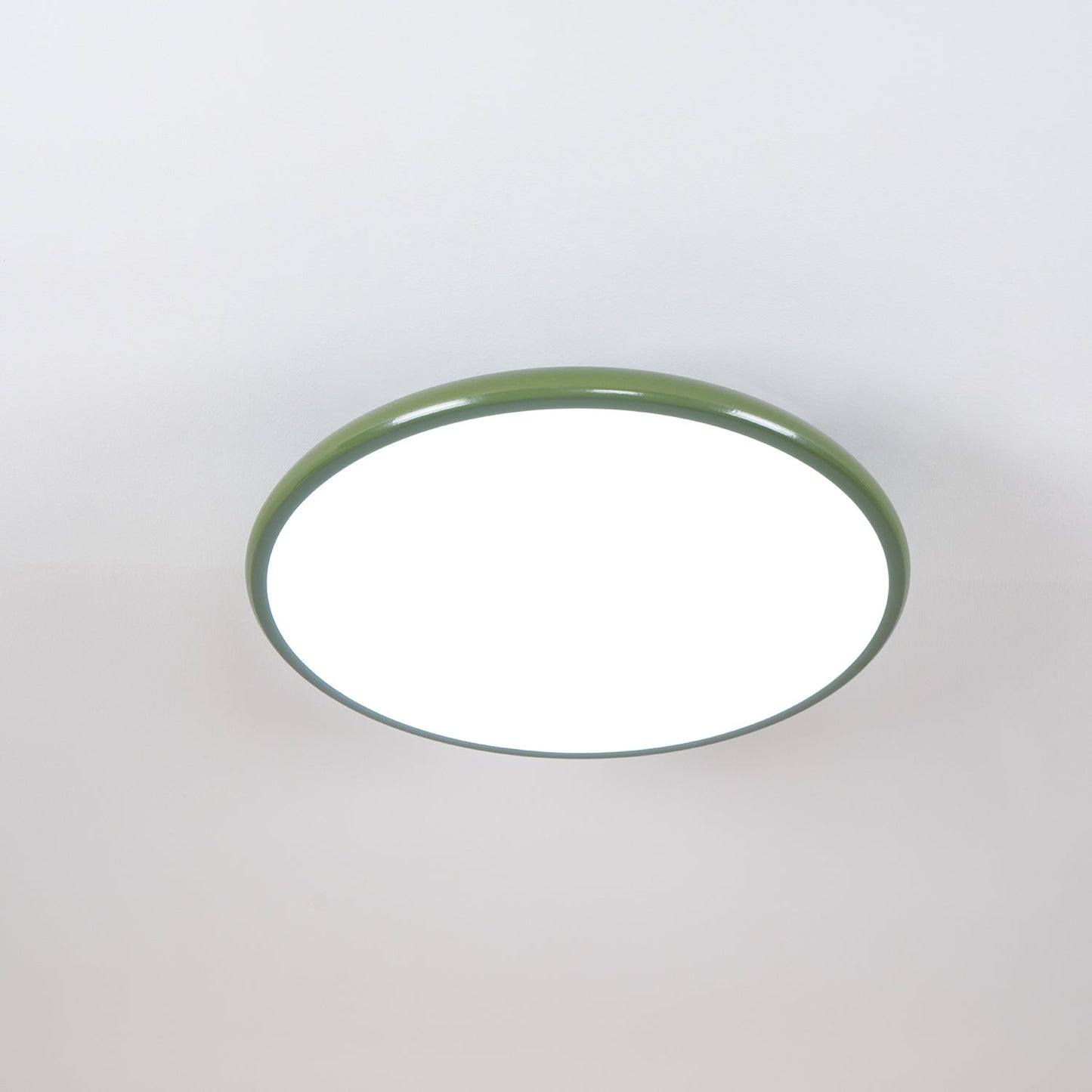 Francesca Adjustable Ceiling Lamp