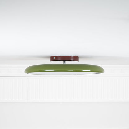 Francesca Adjustable Ceiling Lamp