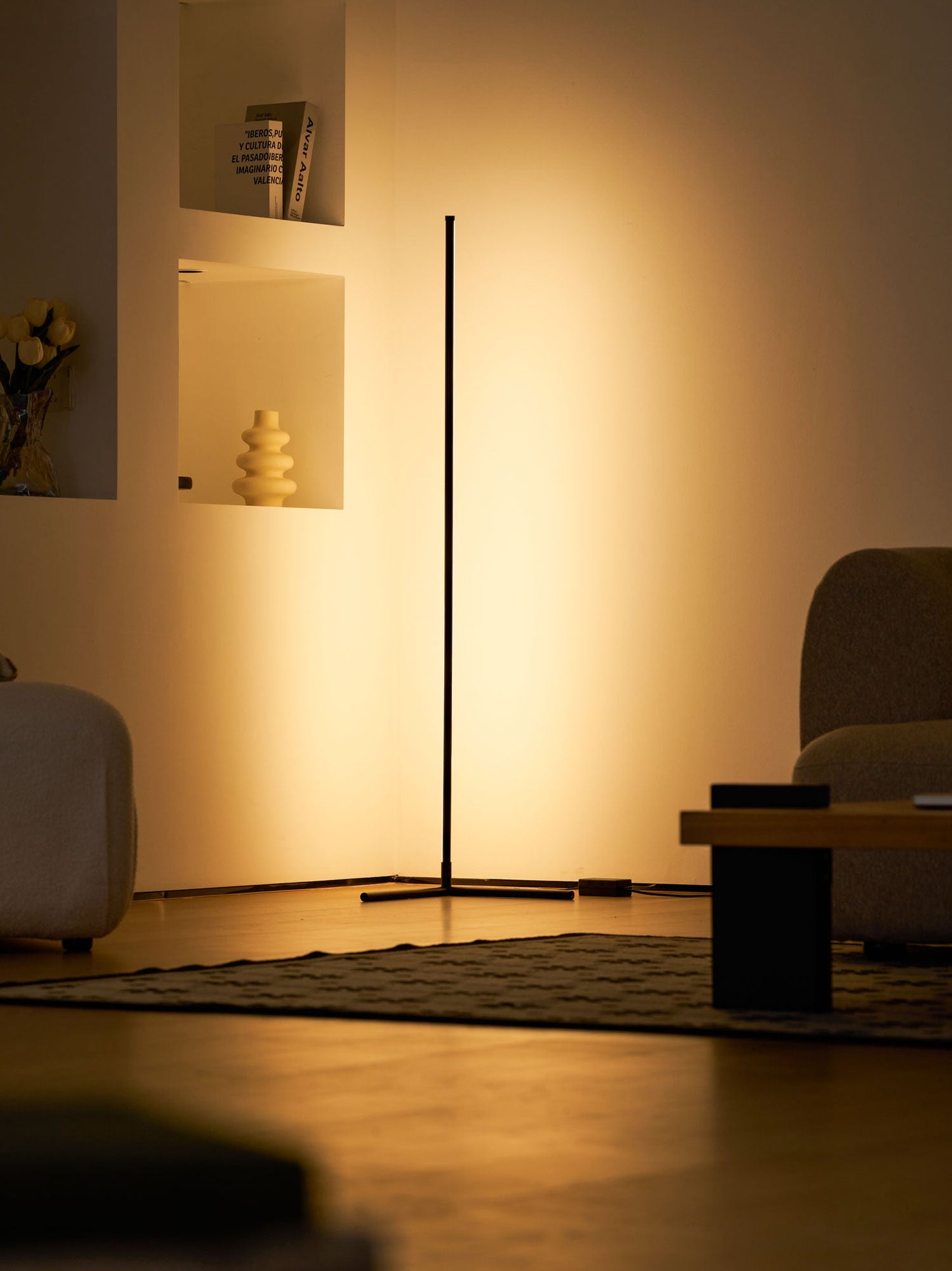 Minimalist LED Floor Lamp