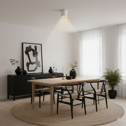 Modupoint Ceiling Light