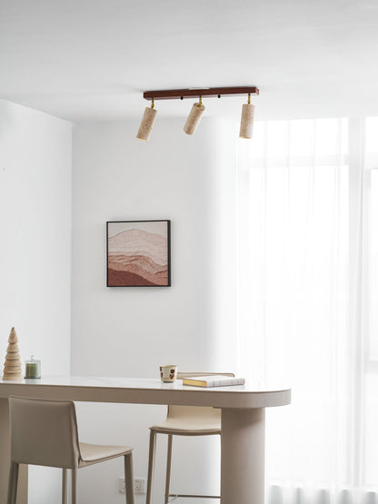 Nimbus Ceiling Spotlight