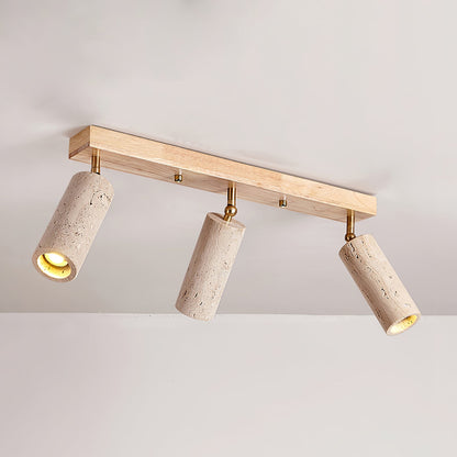 Nimbus Ceiling Spotlight