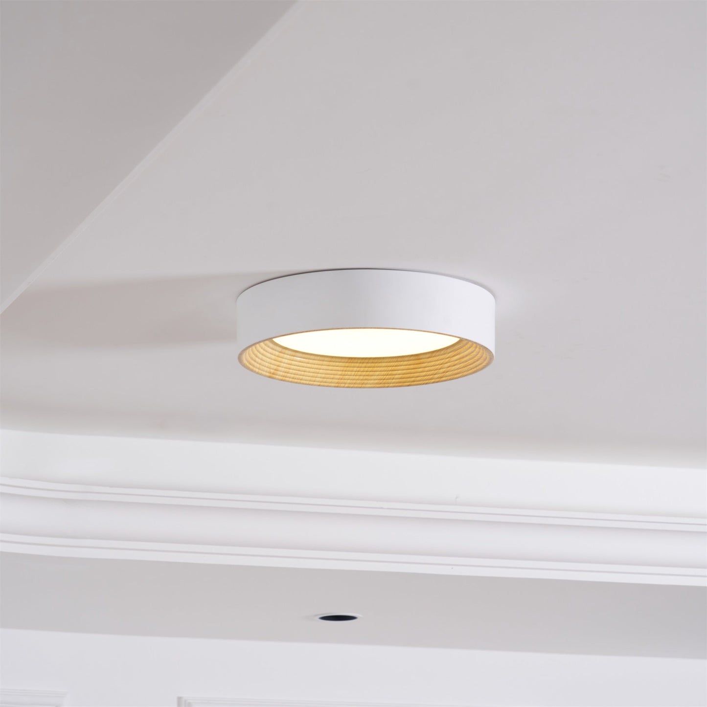 Oreen Ceiling Lamp