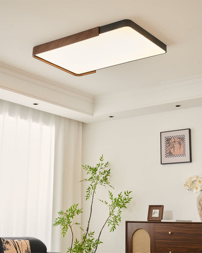 Orren Ceiling Light