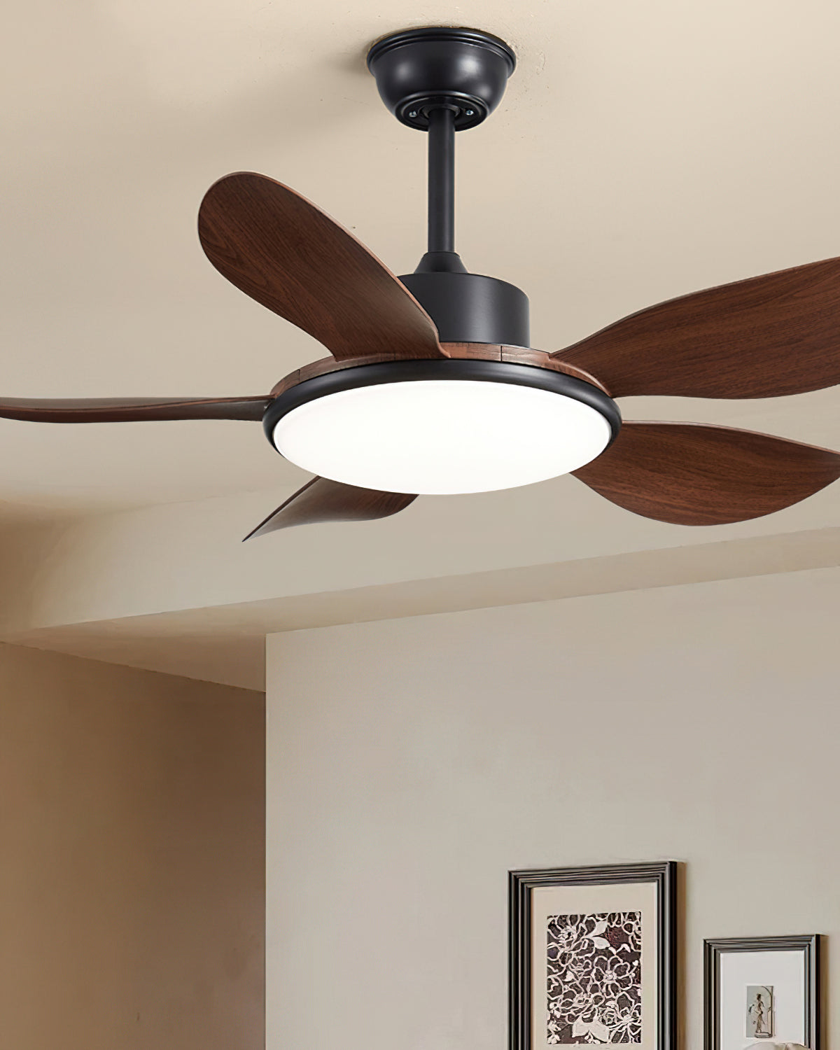 Ovlaim Ceiling Fan Light