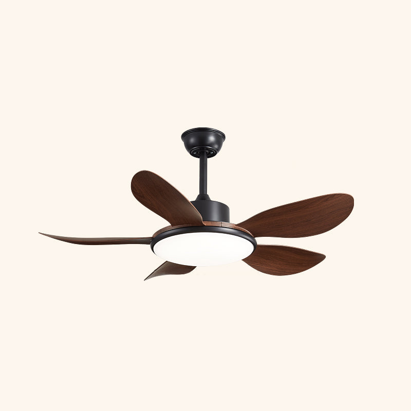 Ovlaim Ceiling Fan Light