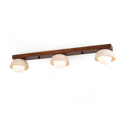 Palermo Combination Ceiling Light