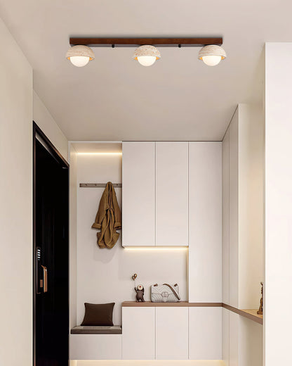 Palermo Combination Ceiling Light