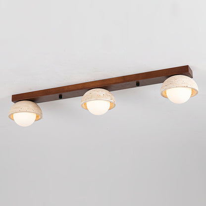 Palermo Combination Ceiling Light