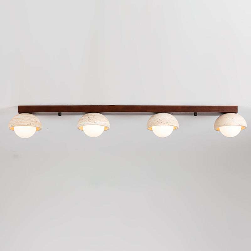 Palermo Combination Ceiling Light