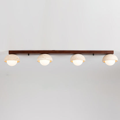 Palermo Combination Ceiling Light