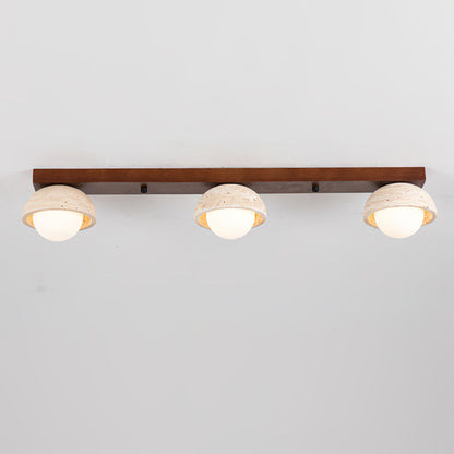 Palermo Combination Ceiling Light