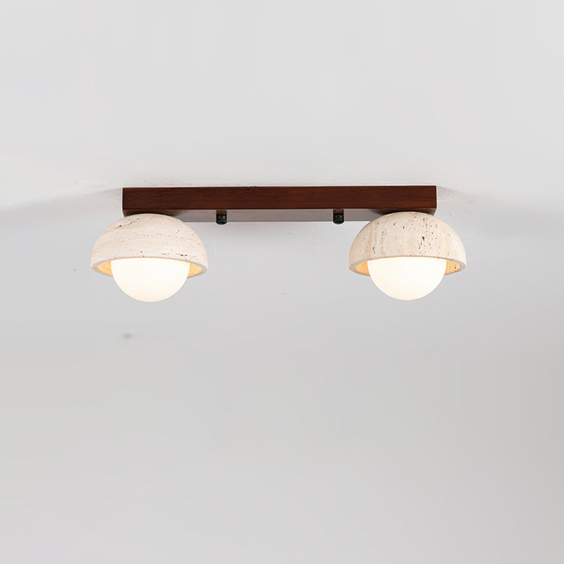 Palermo Combination Ceiling Light