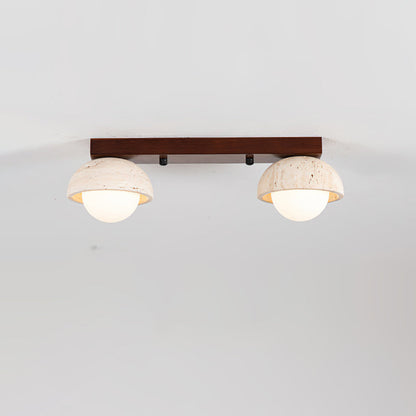 Palermo Combination Ceiling Light