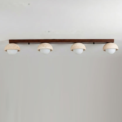 Palermo Combination Ceiling Light