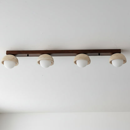 Palermo Combination Ceiling Light