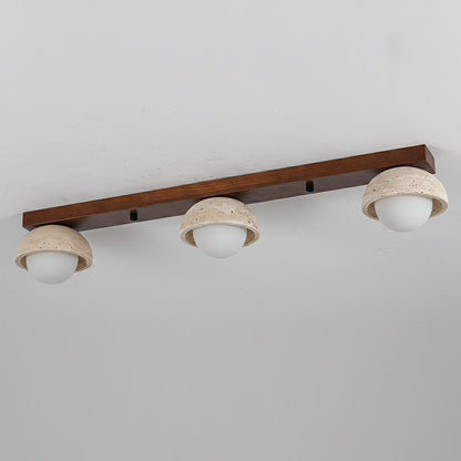 Palermo Combination Ceiling Light