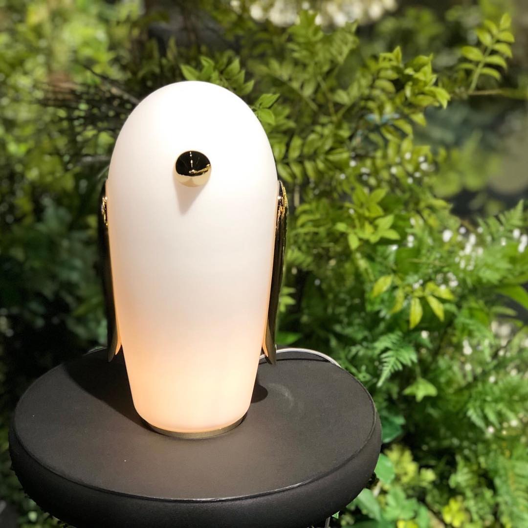 Pet Desk Light