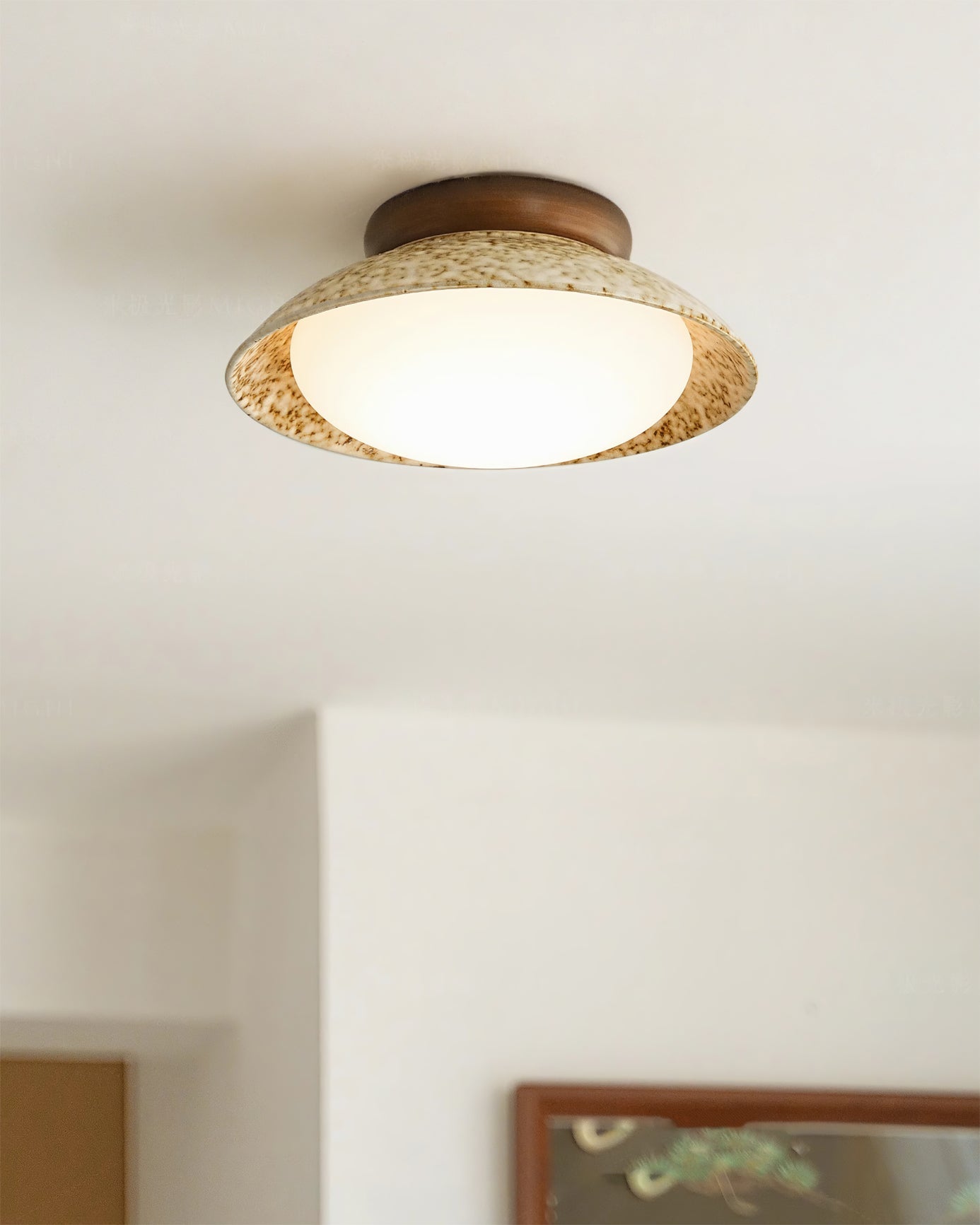 Rivale Ceiling Light