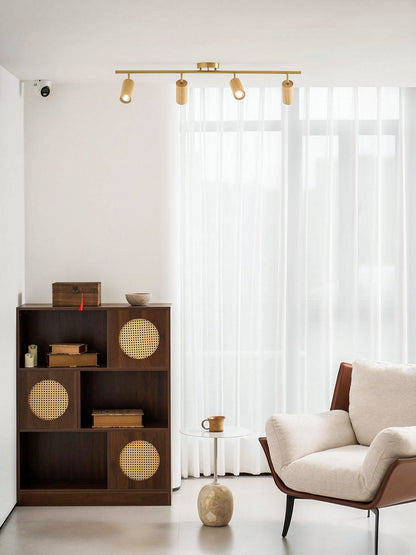 Rowan Ceiling Light