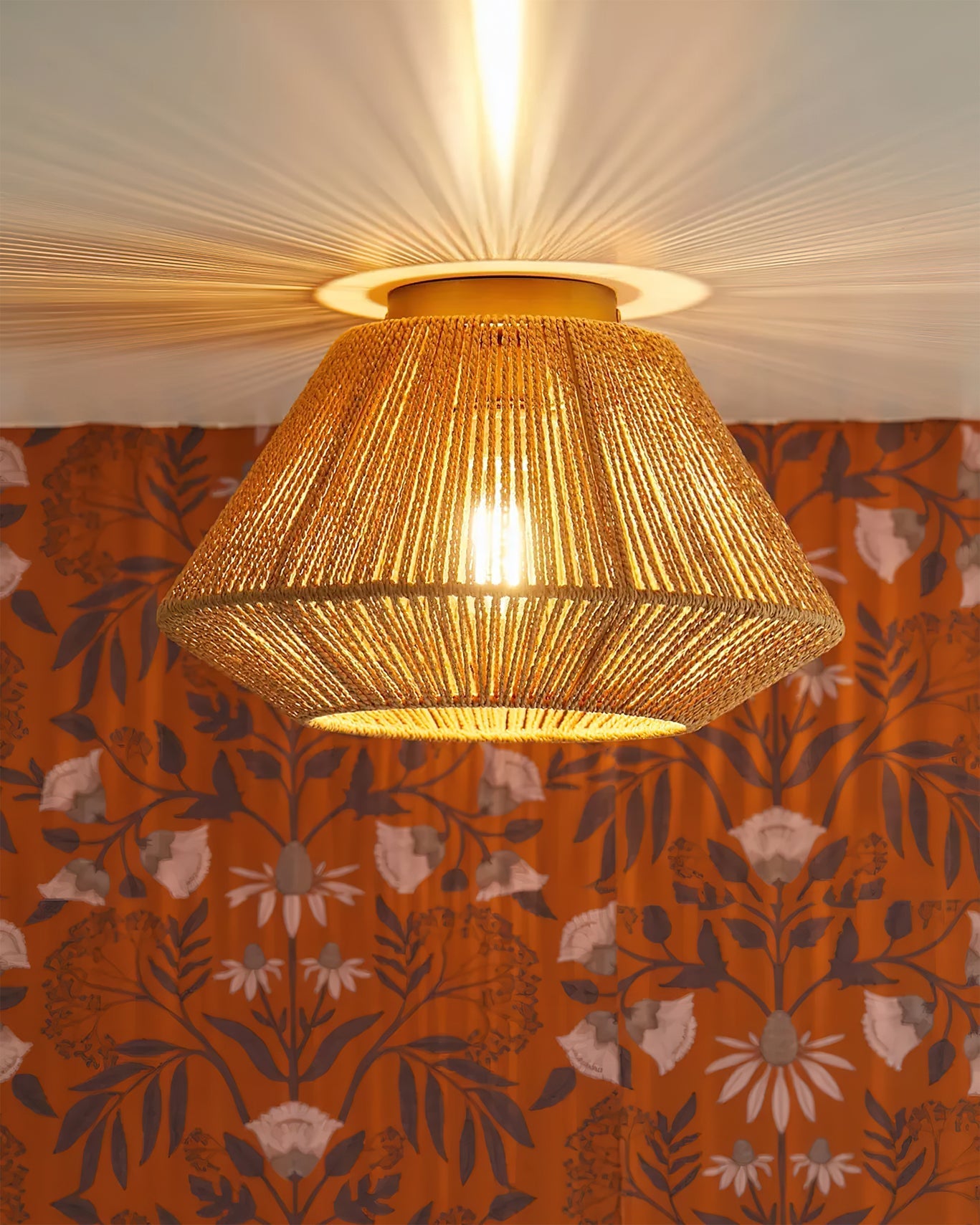 Sierra Ceiling Light