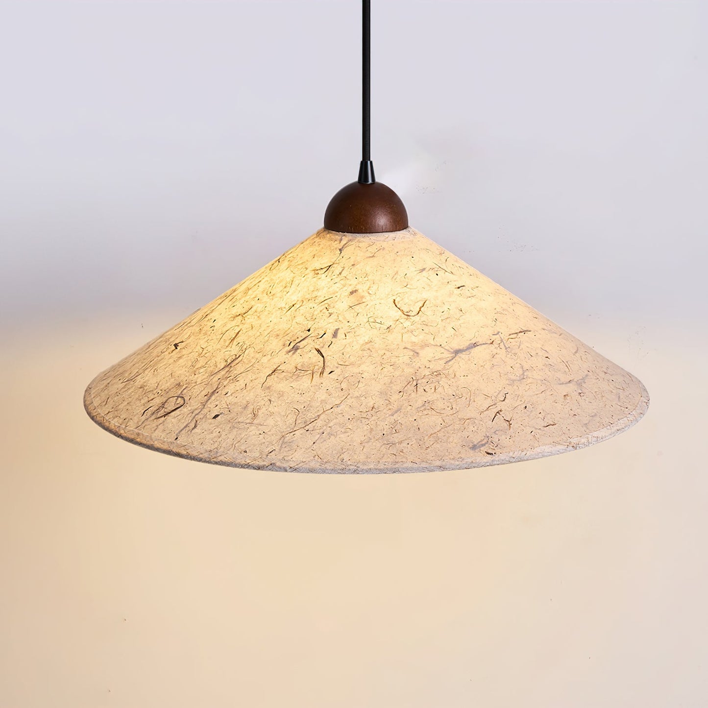 Soren Swing Arm Pendant Light