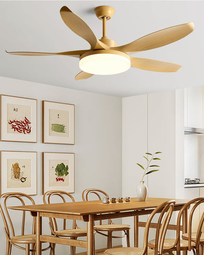 Splenda Ceiling Fan Light